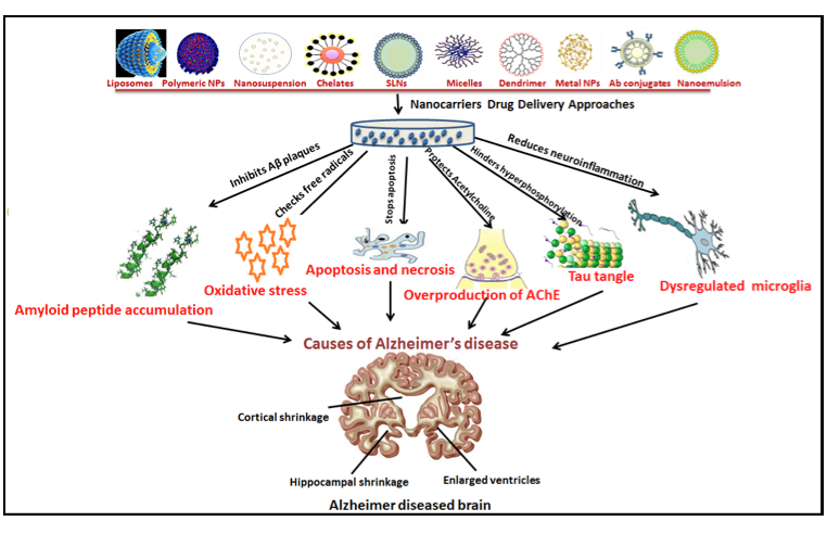 Graphical Abstract