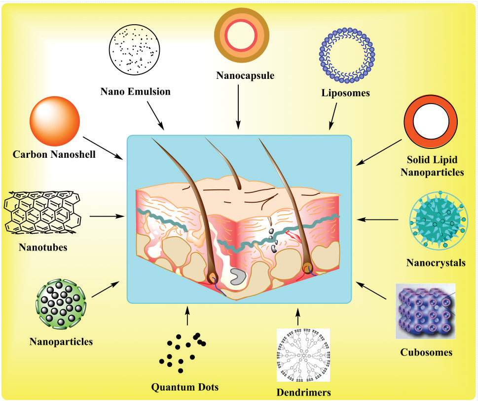 Graphical Abstract