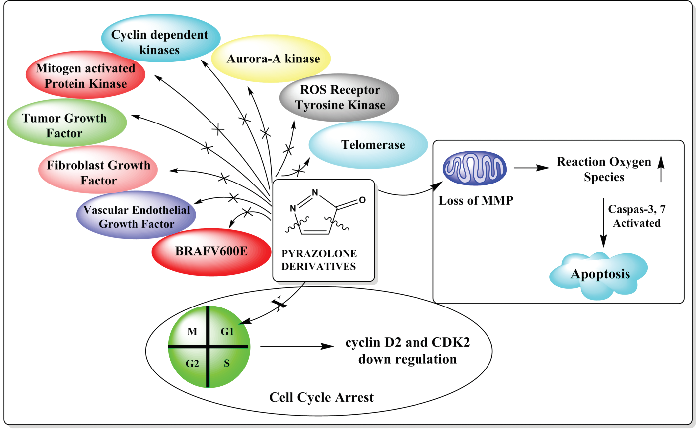 Graphical Abstract