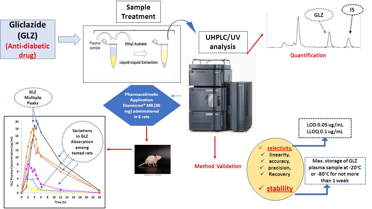 Graphical Abstract