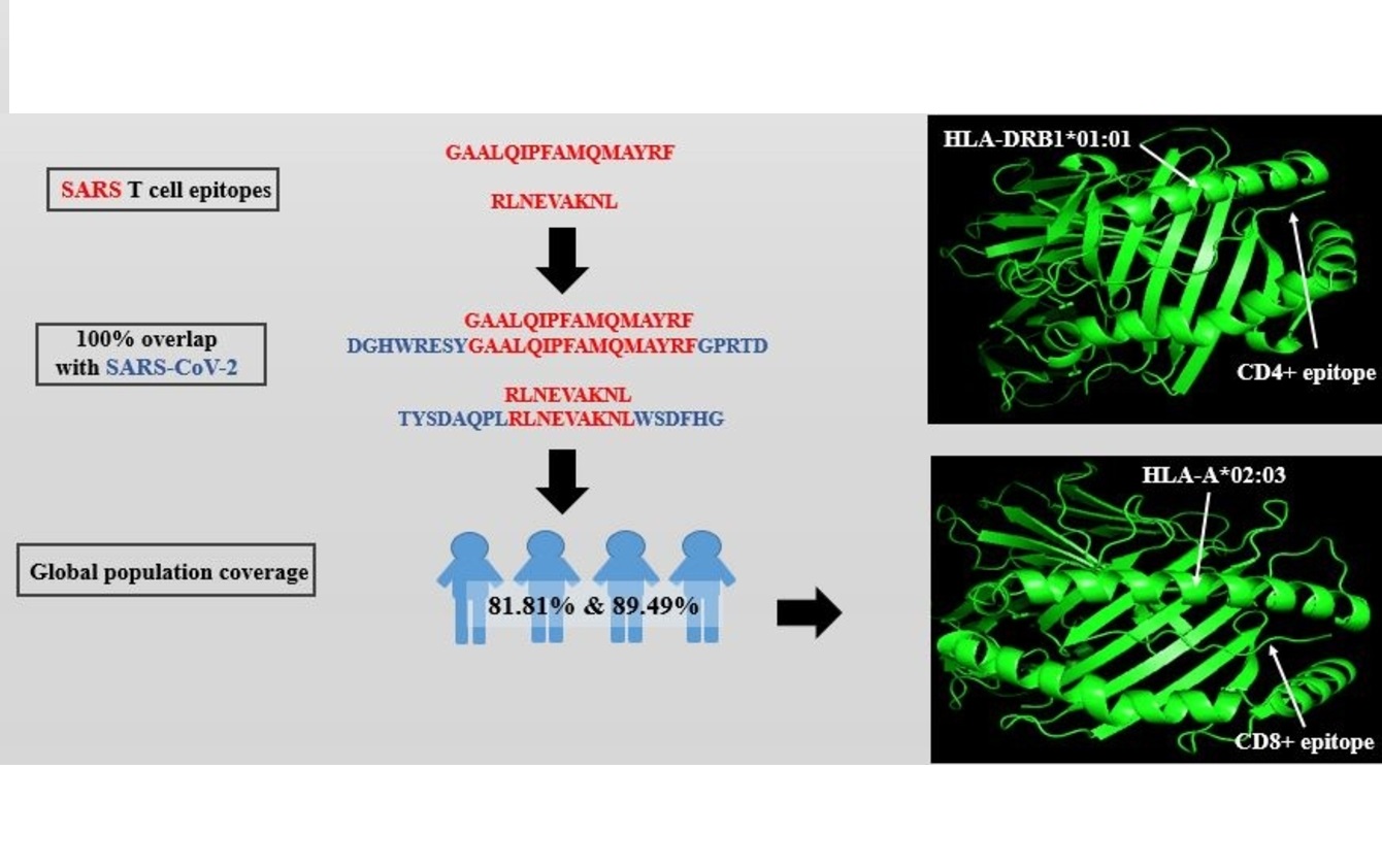 Graphical Abstract