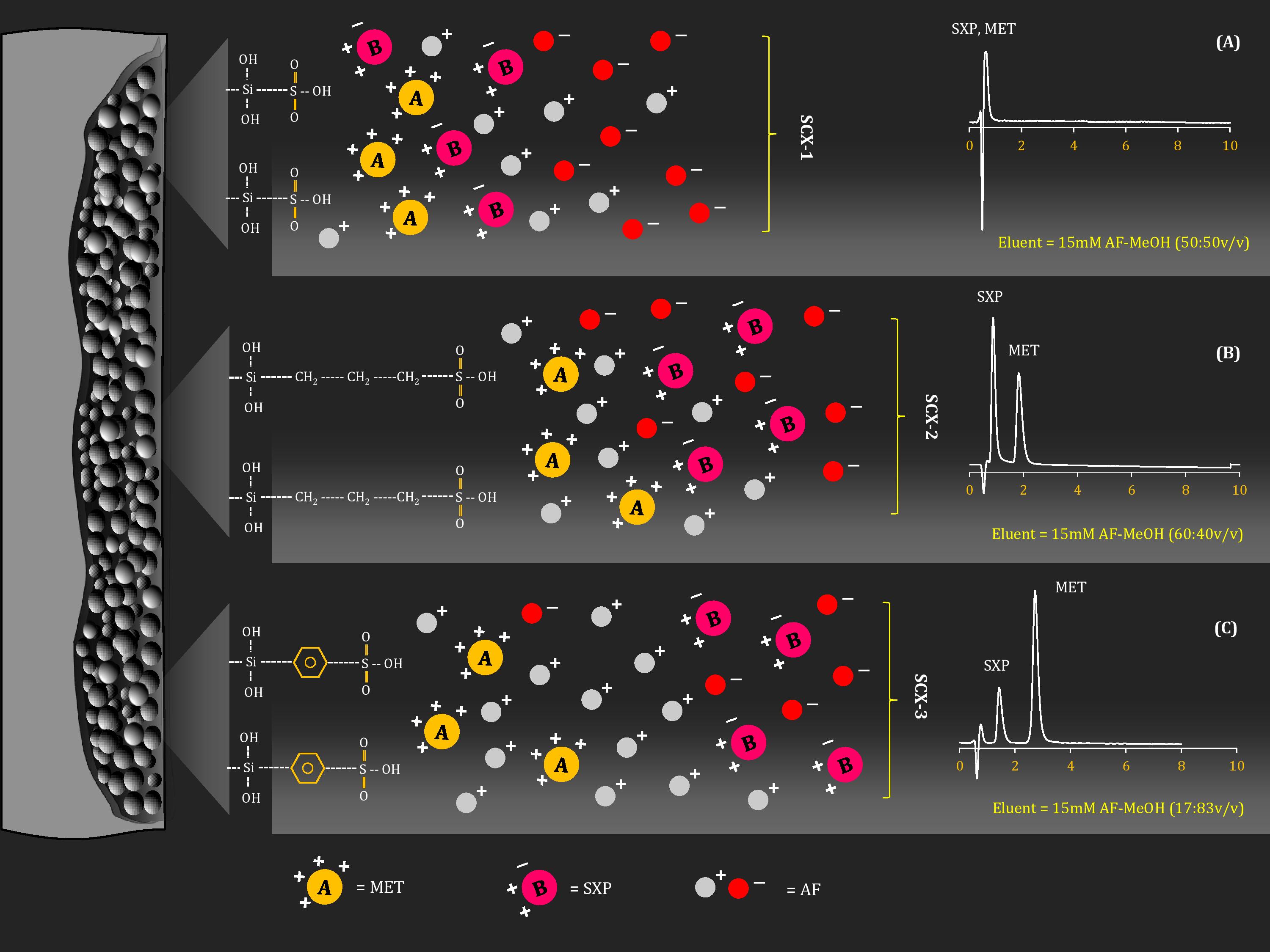 Graphical Abstract