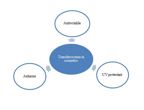 Graphical Abstract