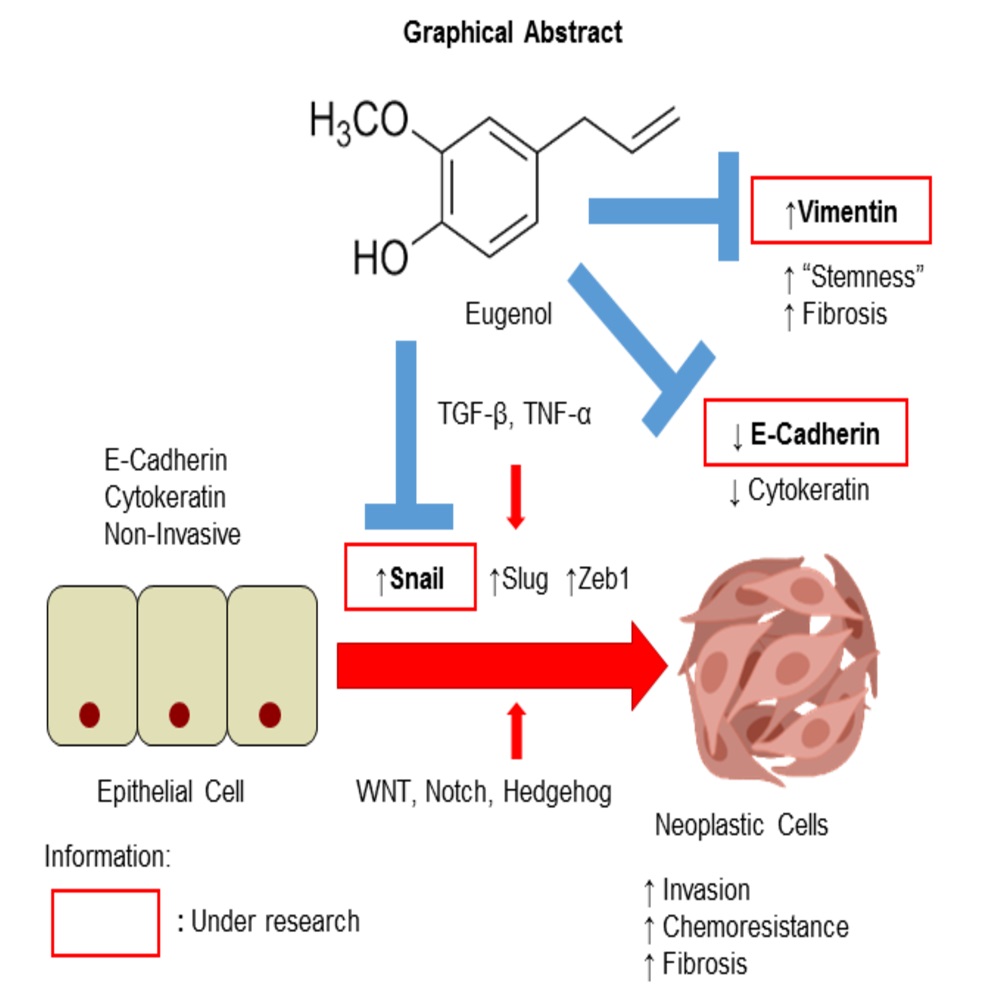 Graphical Abstract