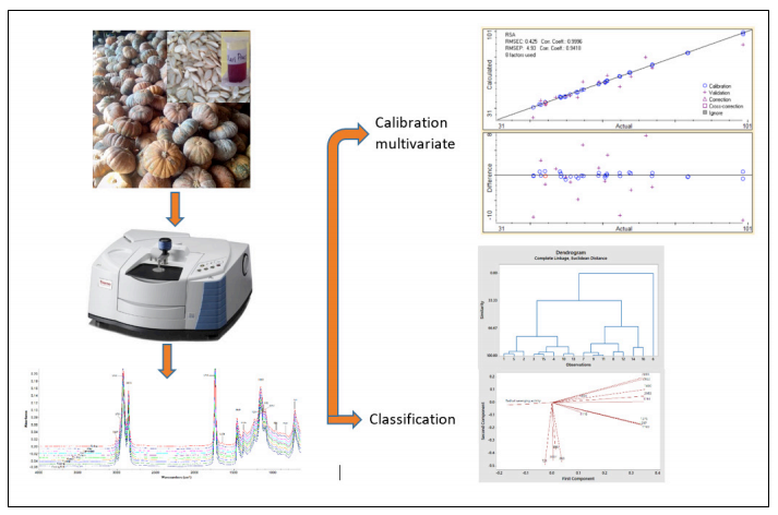 Graphical Abstract
