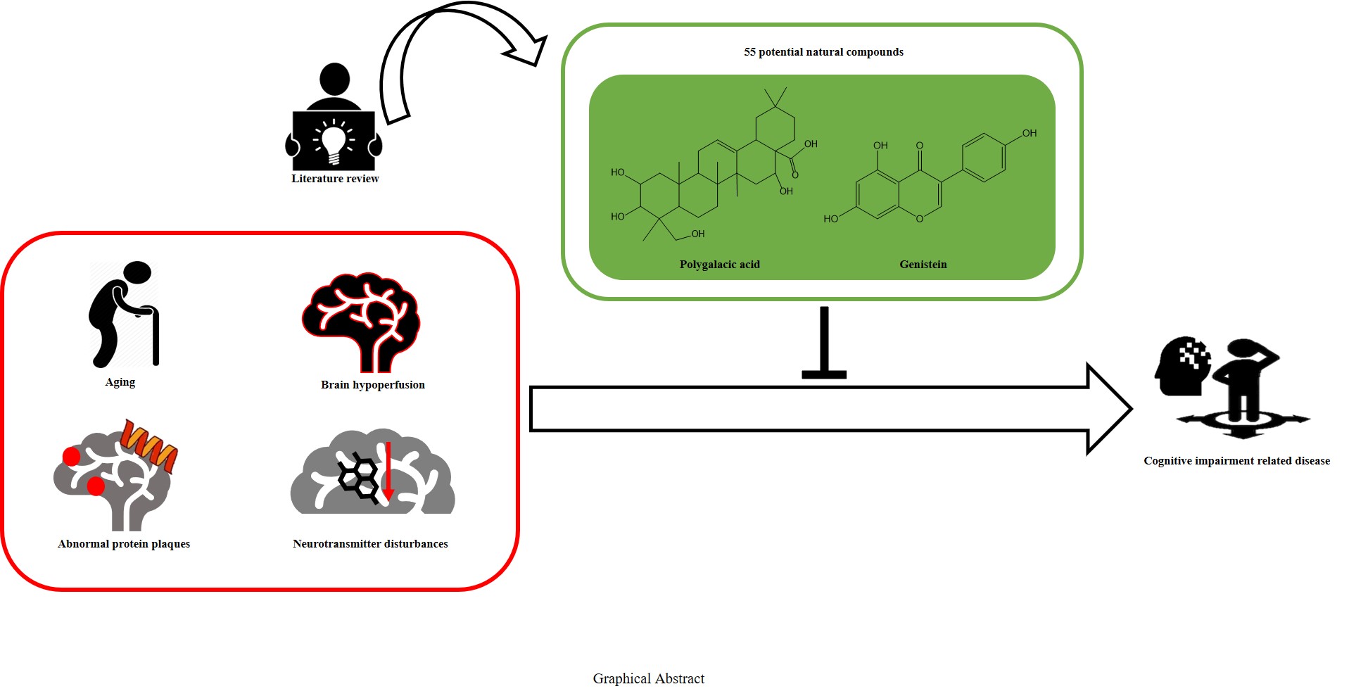 Graphical Abstract