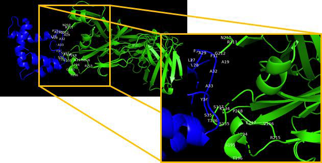 Graphical Abstract