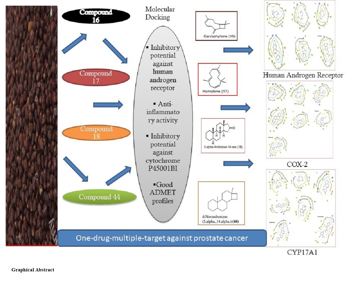 Graphical Abstract