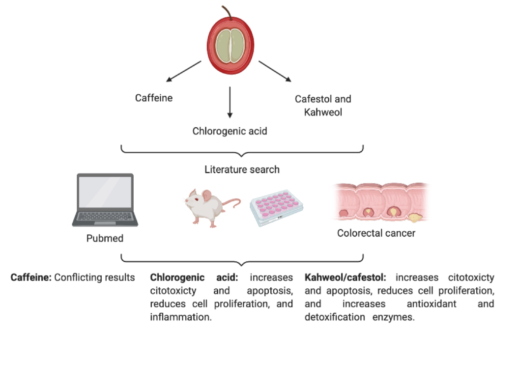 Graphical Abstract