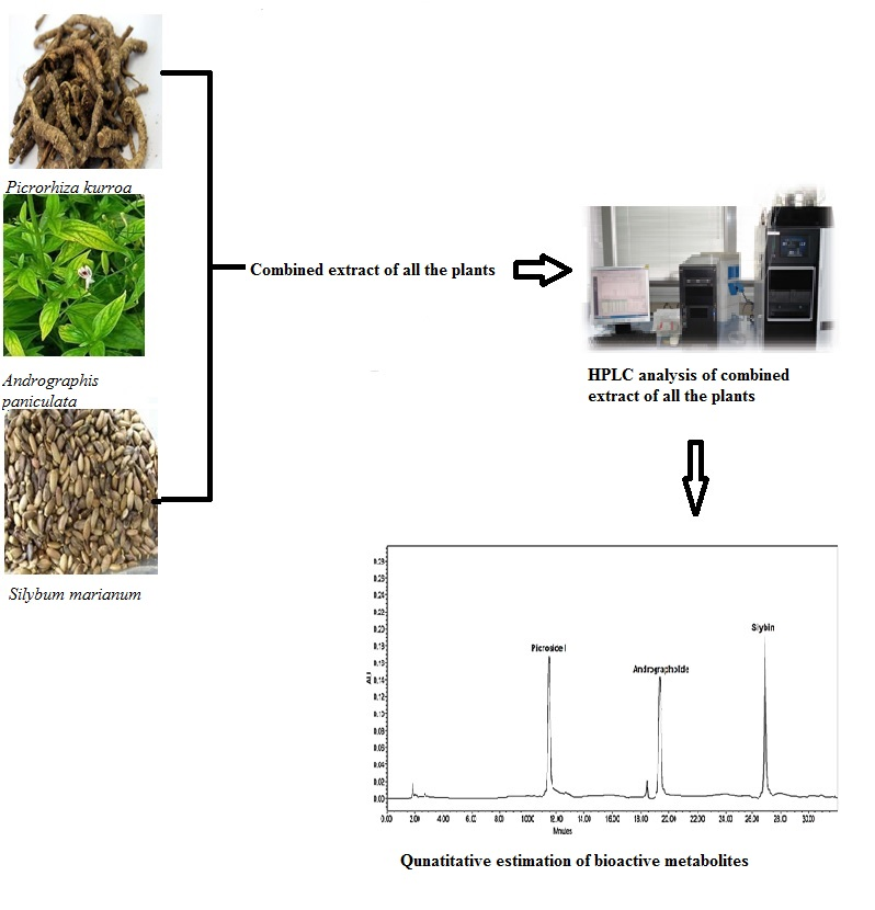 Graphical Abstract