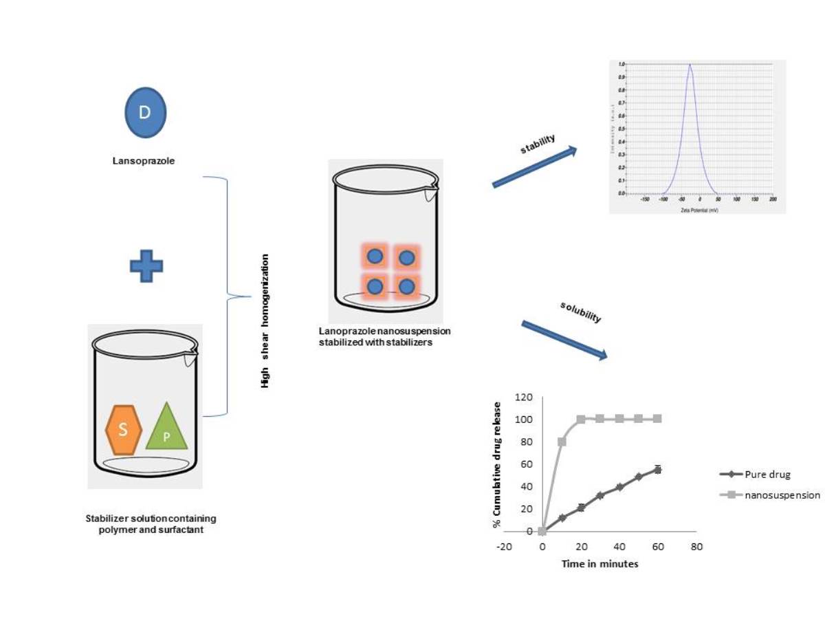 Graphical Abstract