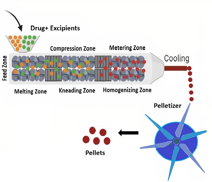 Graphical Abstract