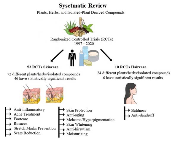 Graphical Abstract