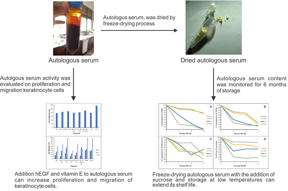 Graphical Abstract