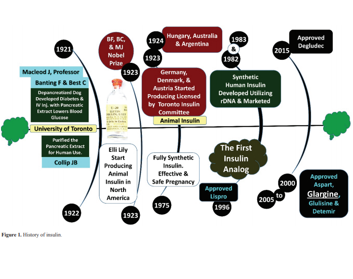 Graphical Abstract