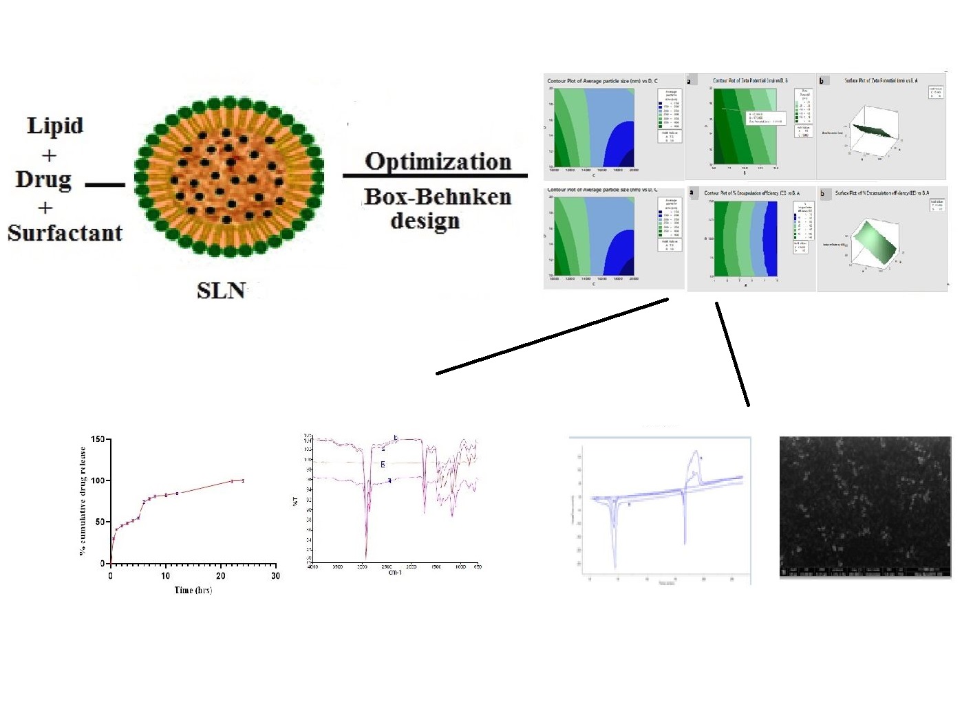 Graphical Abstract