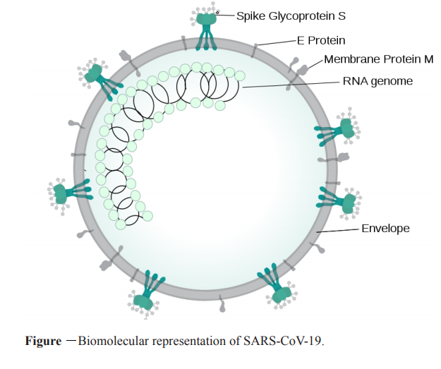 Graphical Abstract