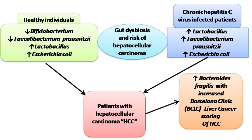 Graphical Abstract