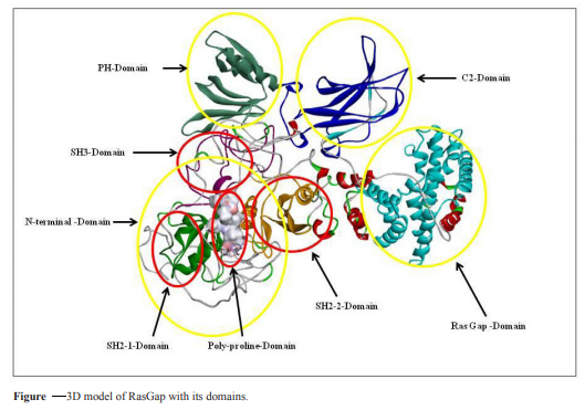 Graphical Abstract
