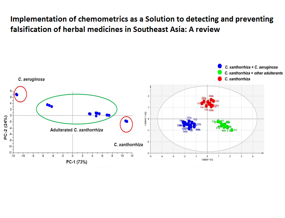 Graphical Abstract
