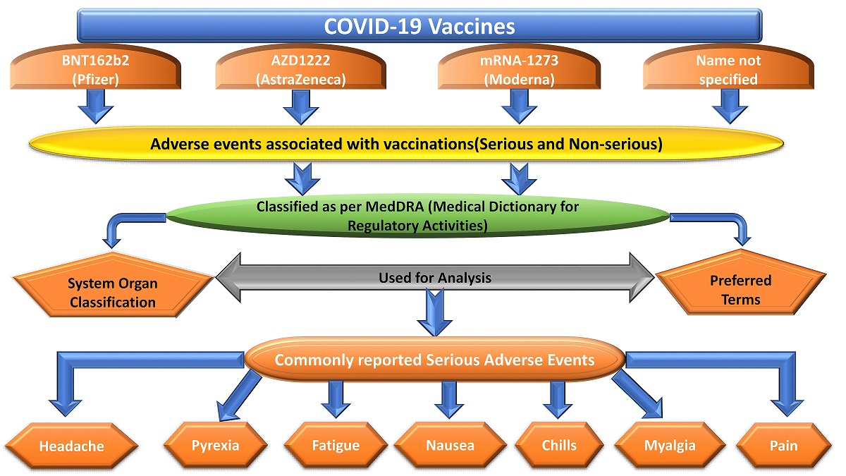 Graphical Abstract