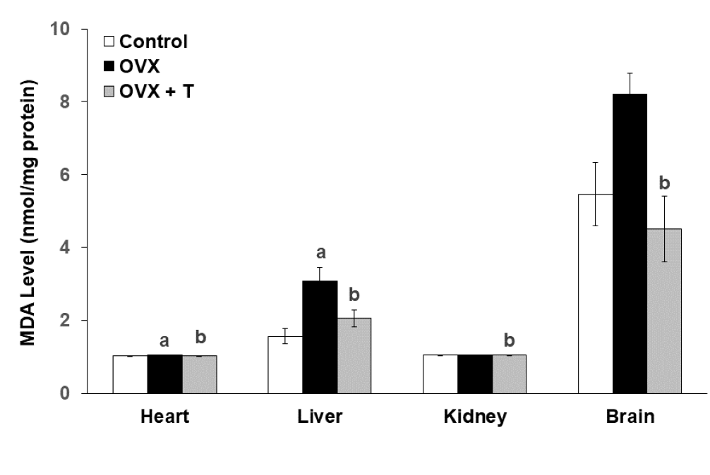 Graphical Abstract