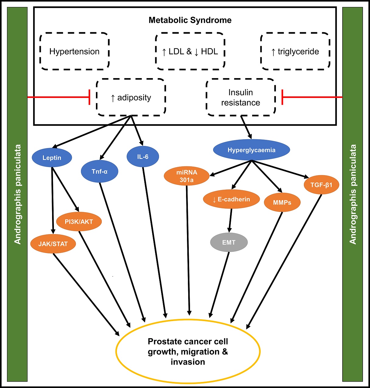 Graphical Abstract