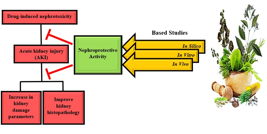 Graphical Abstract