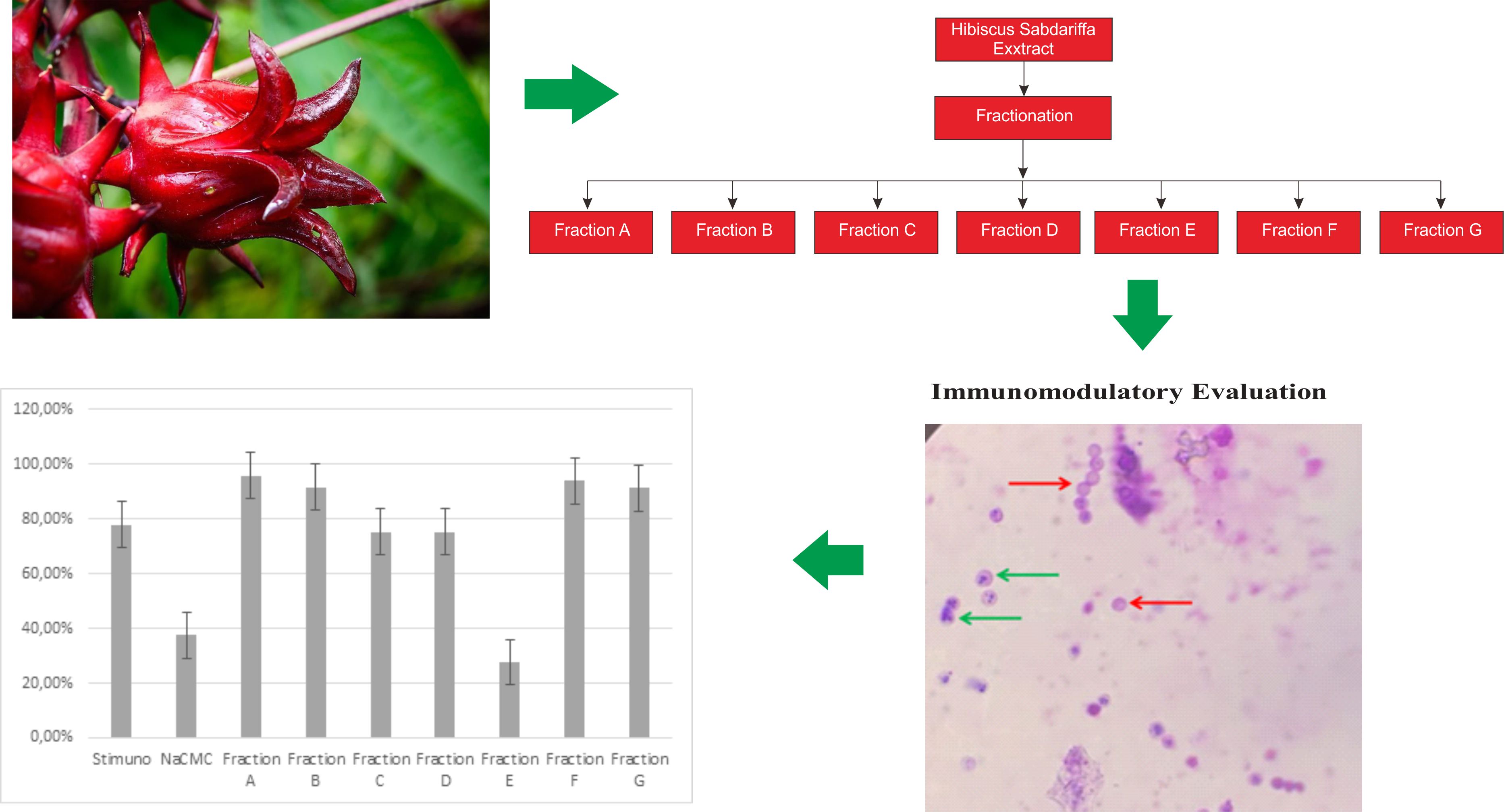 Graphical Abstract