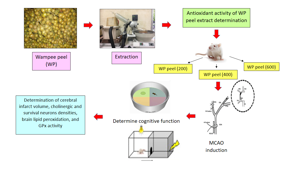 Graphical Abstract