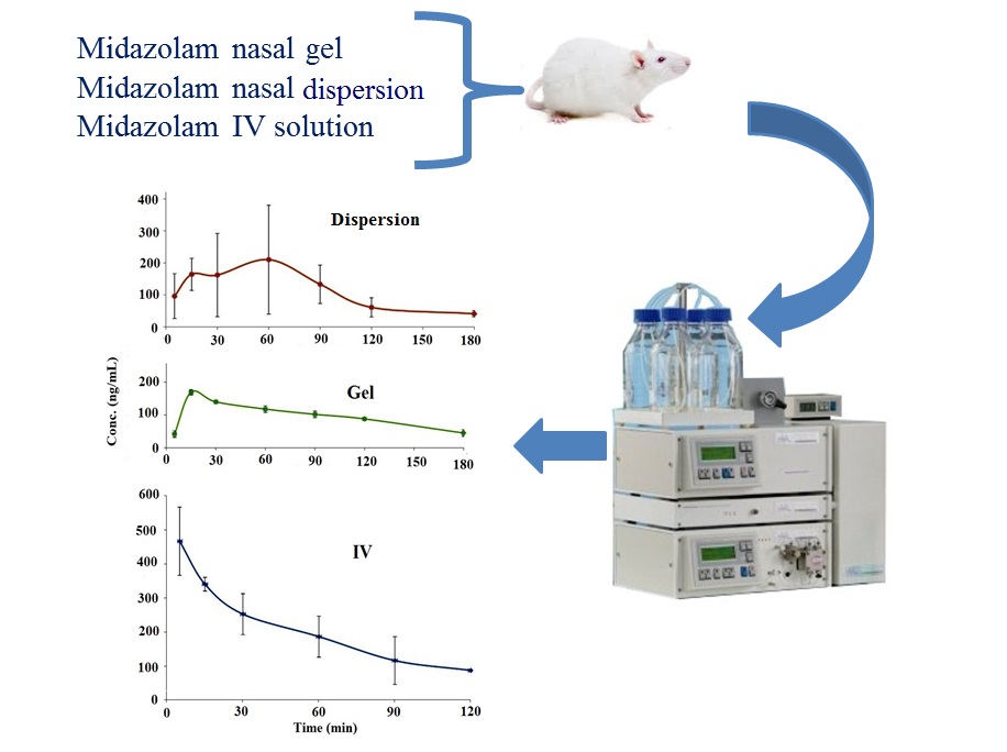Graphical Abstract