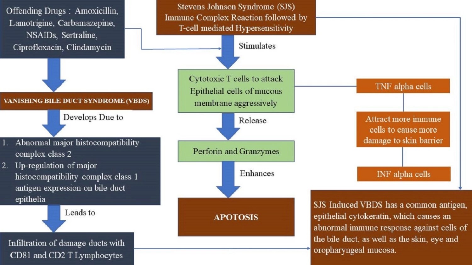 Graphical Abstract