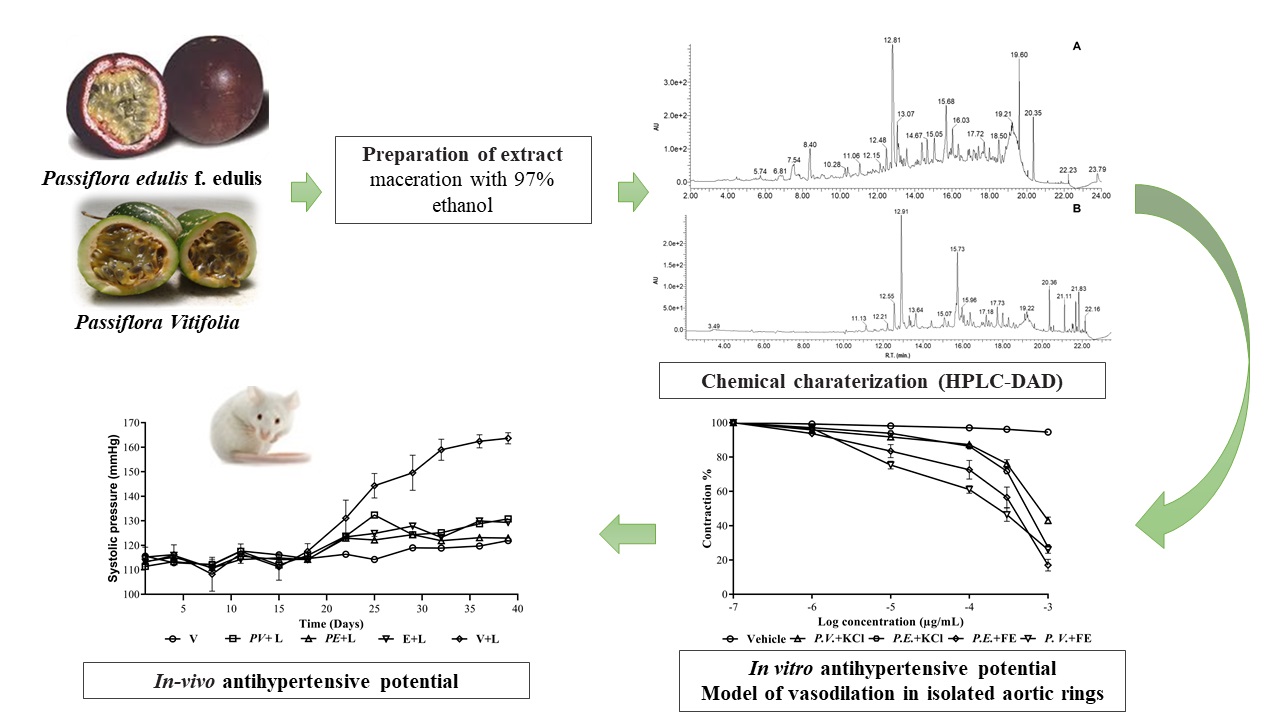 Graphical Abstract