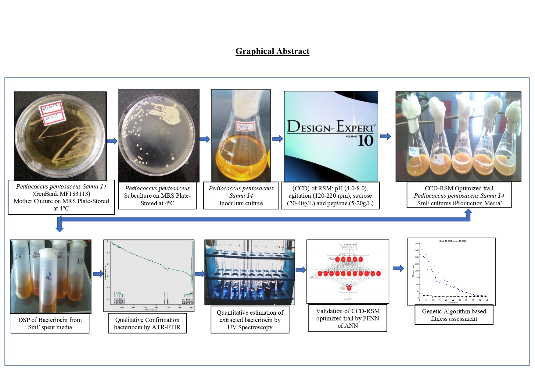 Graphical Abstract