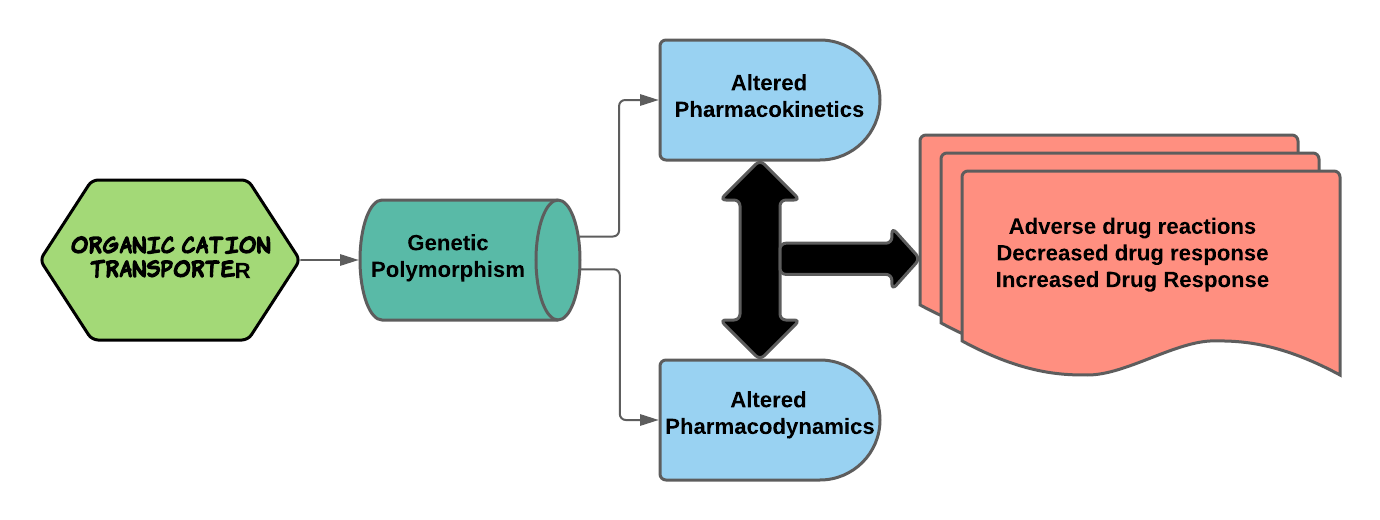 Graphical Abstract