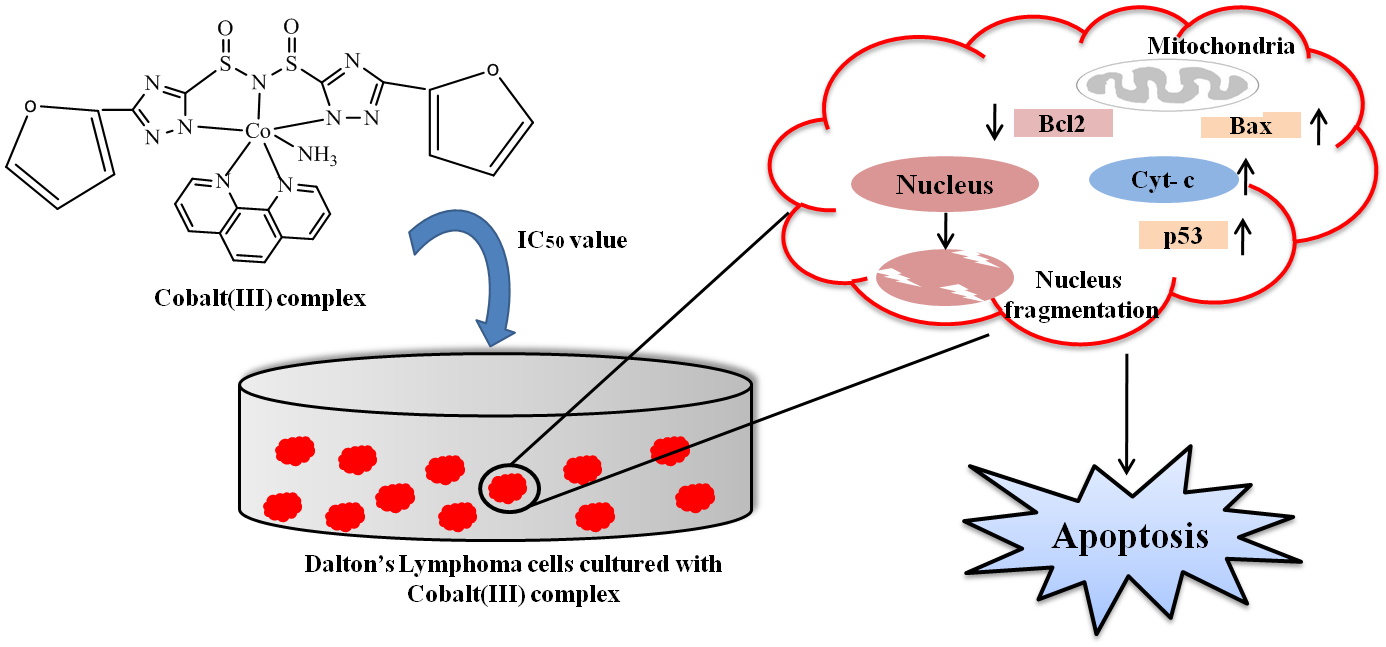 Graphical Abstract