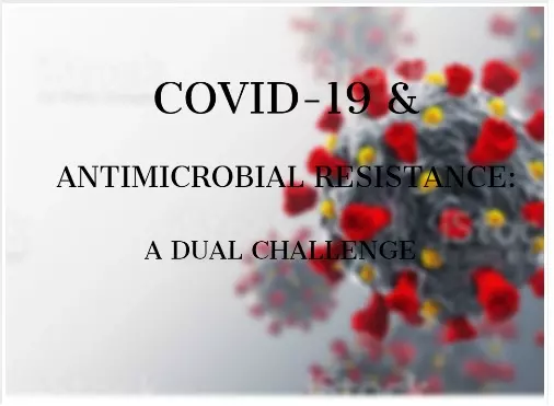 Graphical Abstract