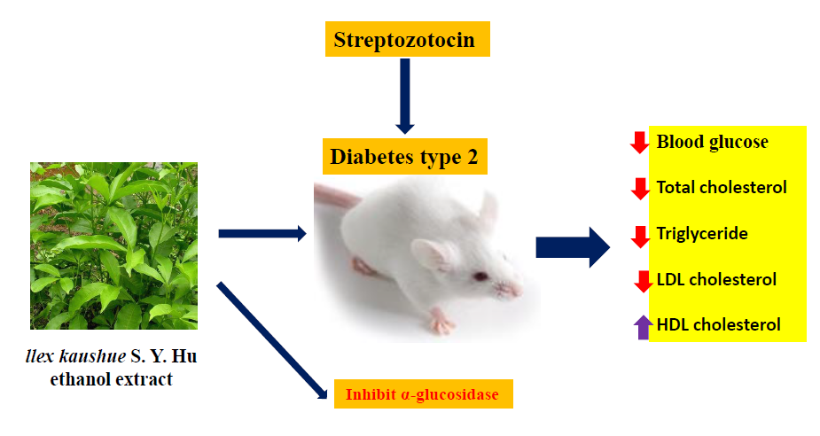 Graphical Abstract