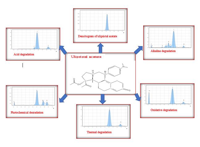 Graphical Abstract
