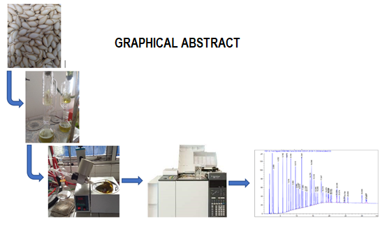 Graphical Abstract