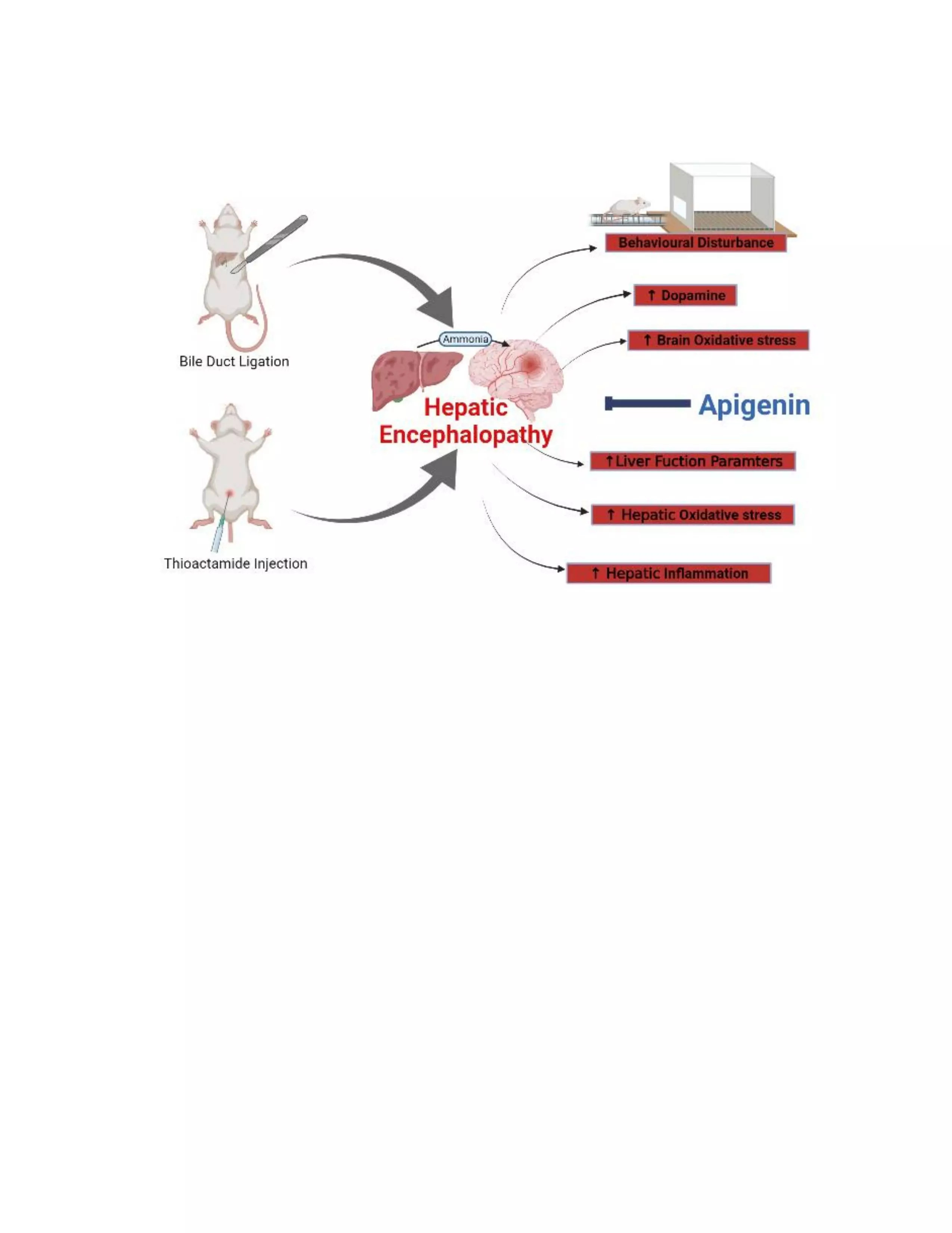 Graphical Abstract