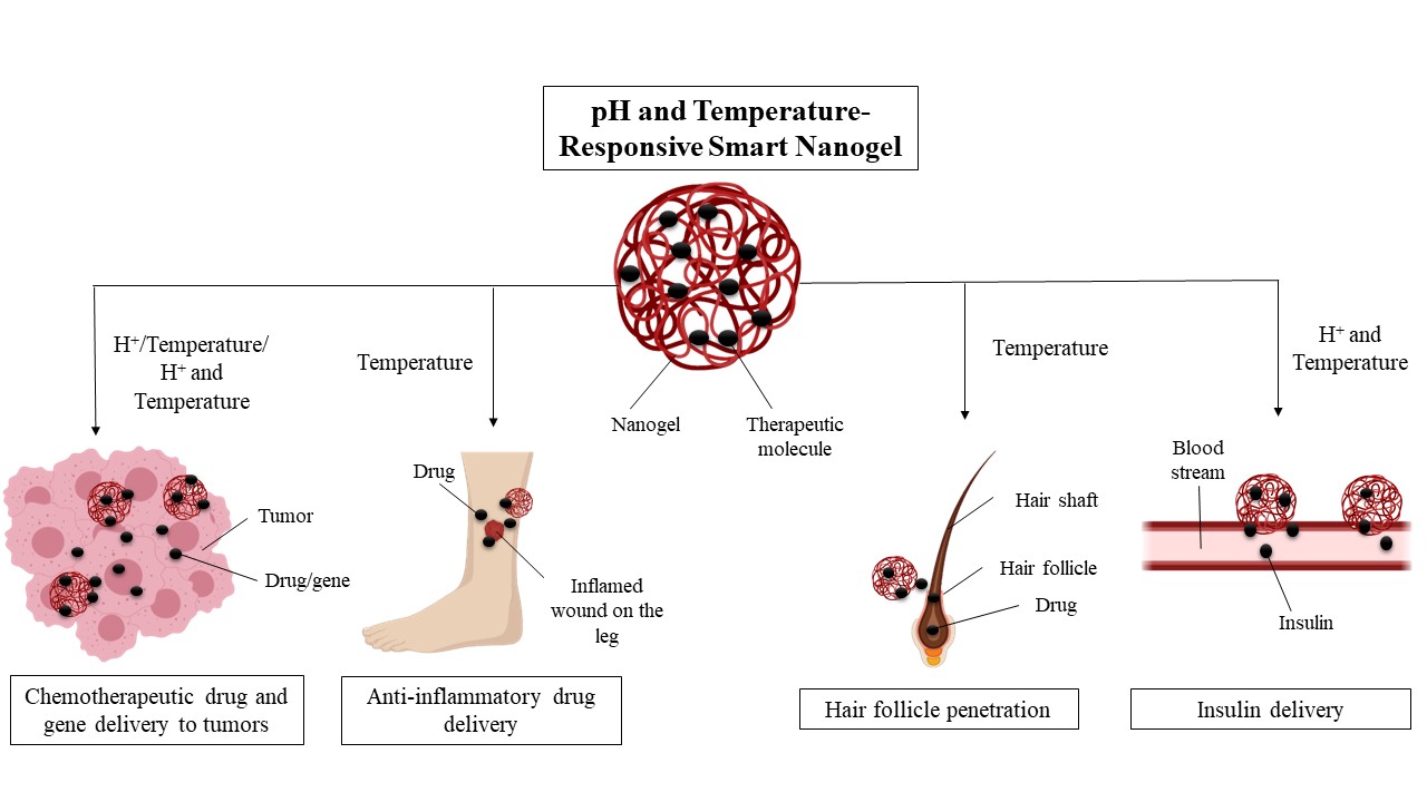 Graphical Abstract
