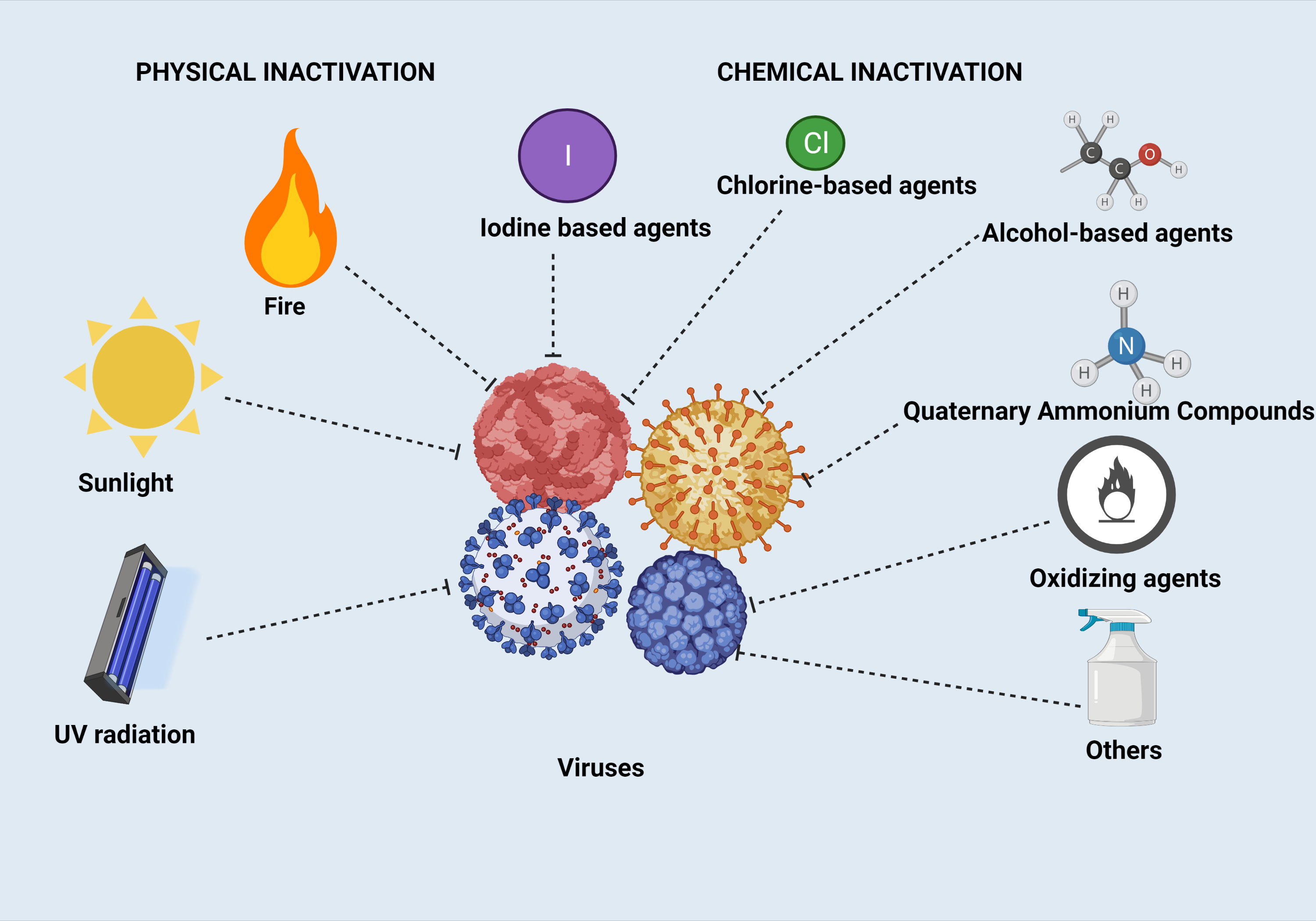 Graphical Abstract