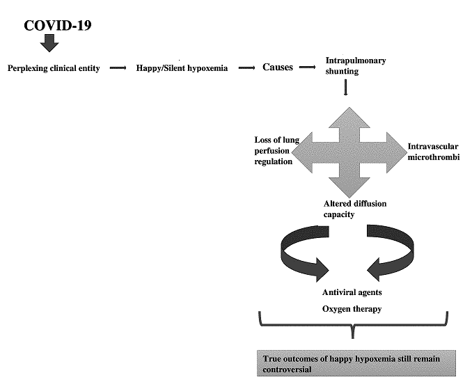 Graphical Abstract