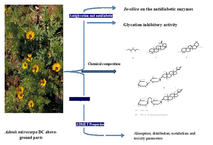 Graphical Abstract