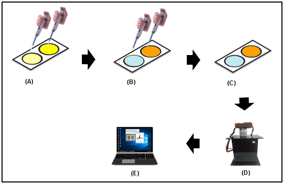 Graphical Abstract