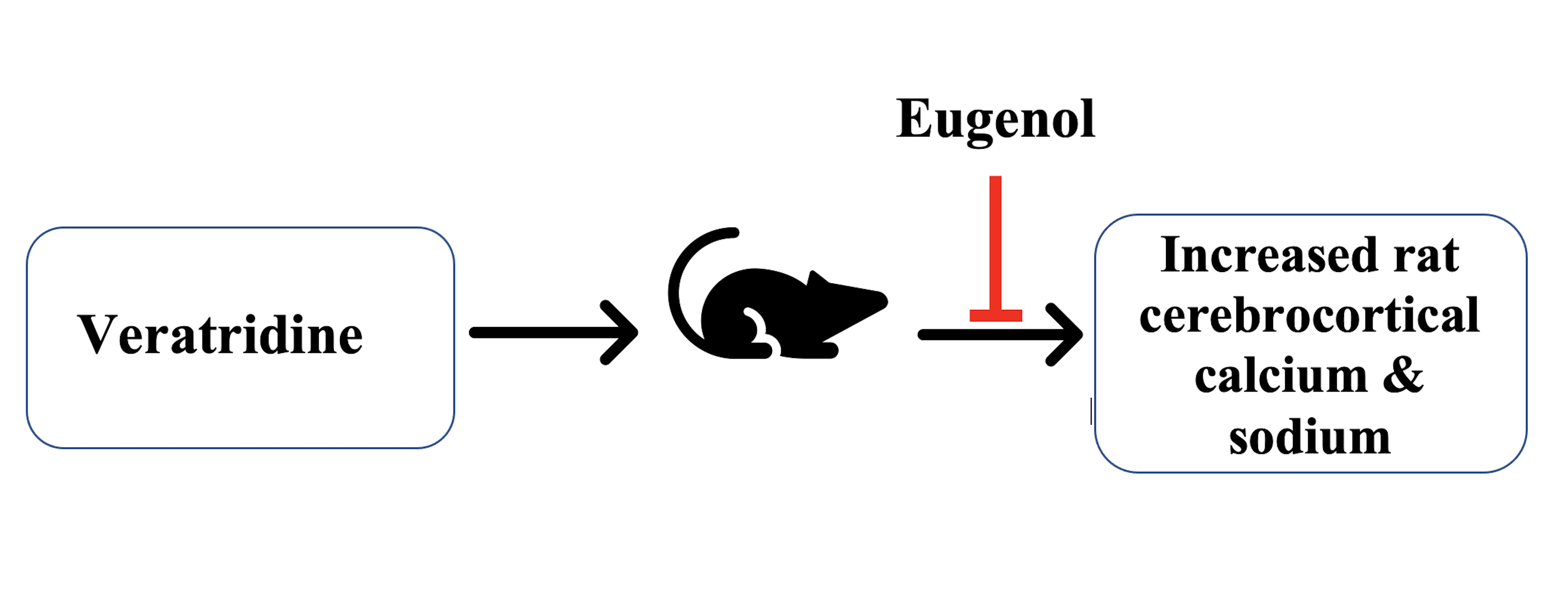 Graphical Abstract