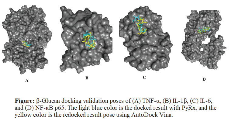 Graphical Abstract