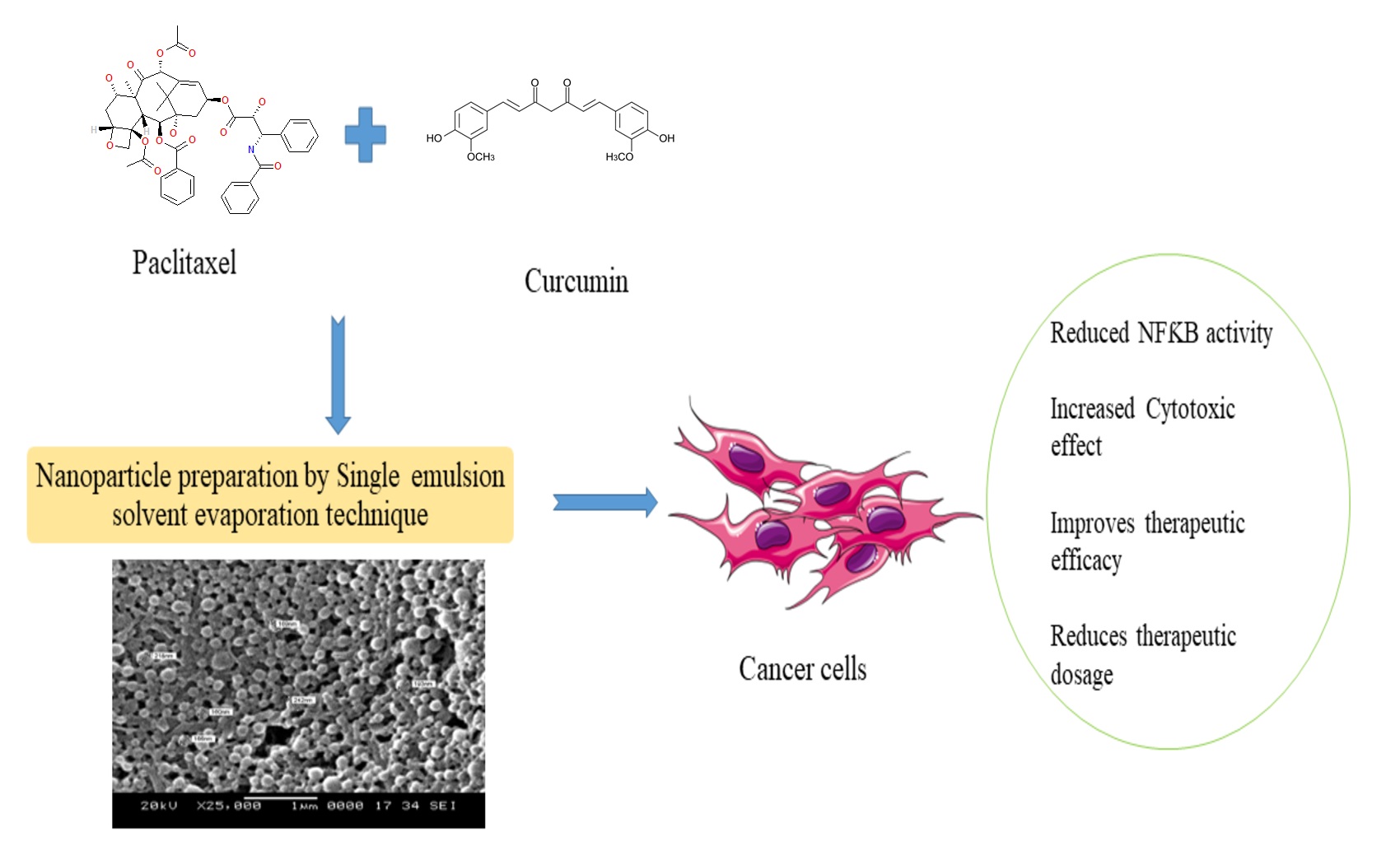 Graphical Abstract