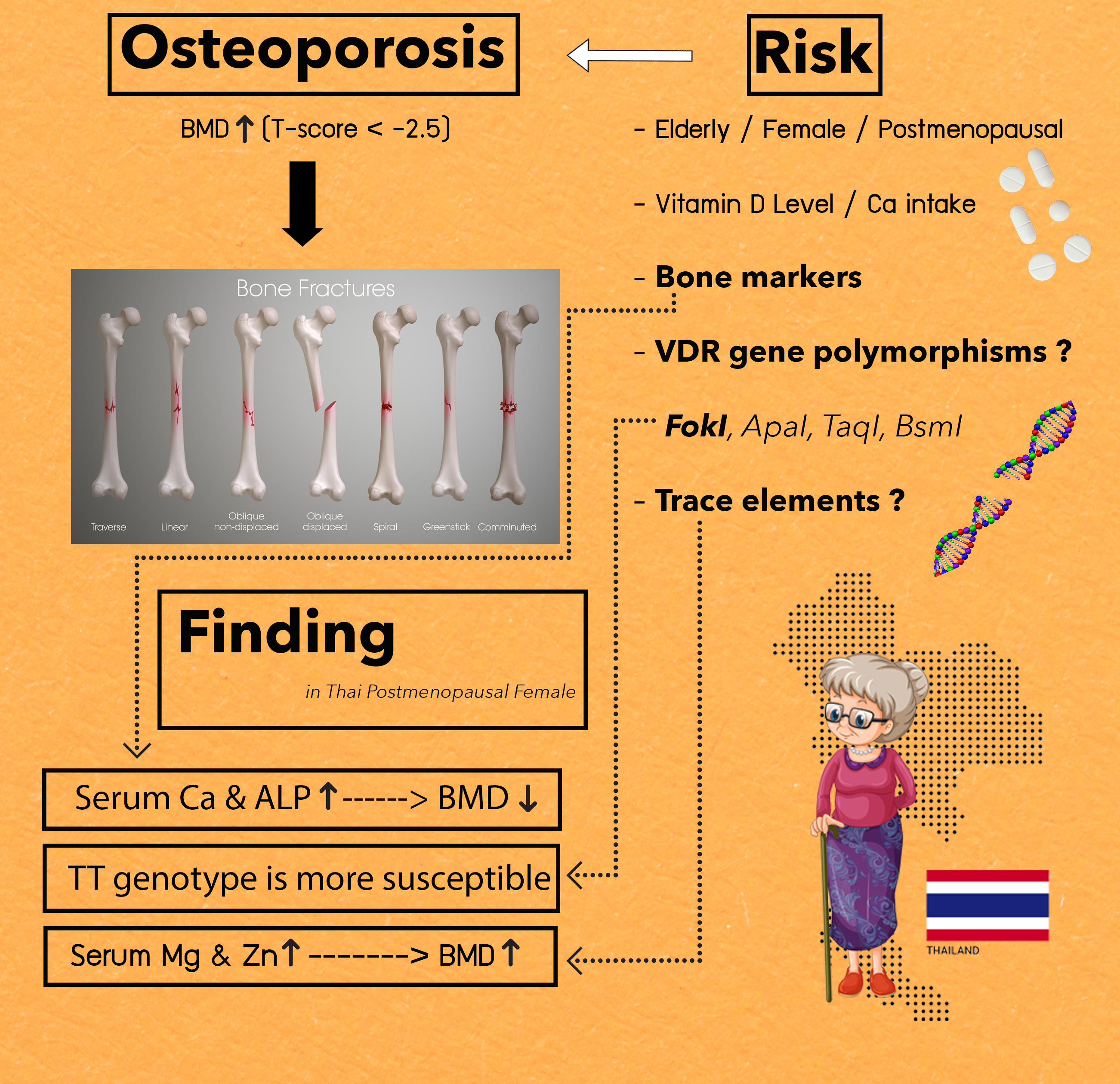 Graphical Abstract